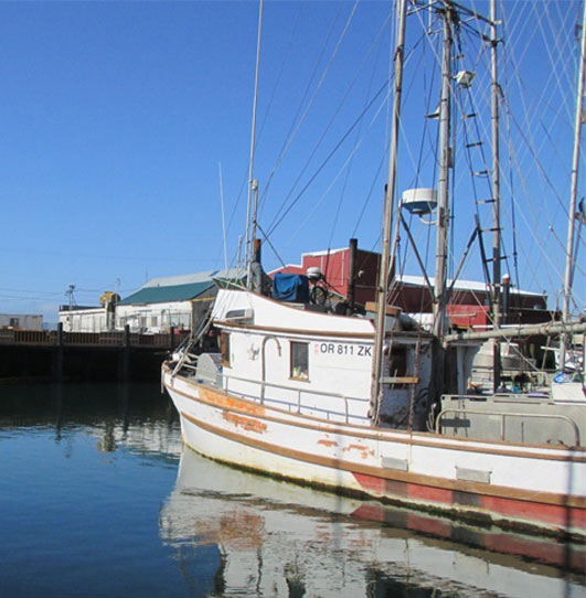 garibaldi fishing