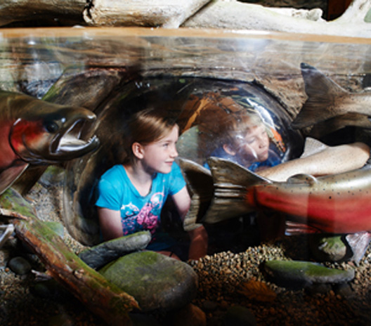 tillamook forest center