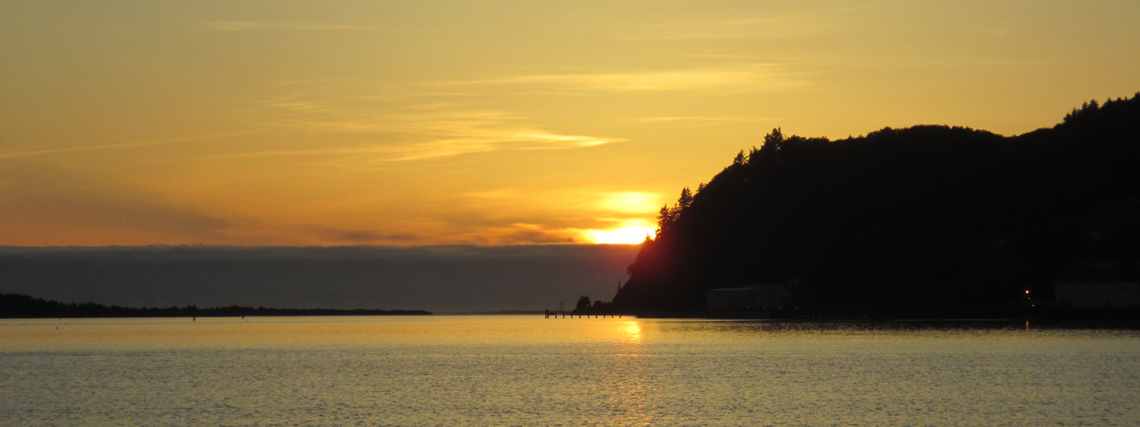 Whale Watching on the Oregon Coast